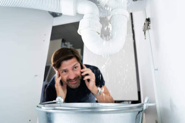 Best Plumbing Inspection Services  in Blue Springs, MO