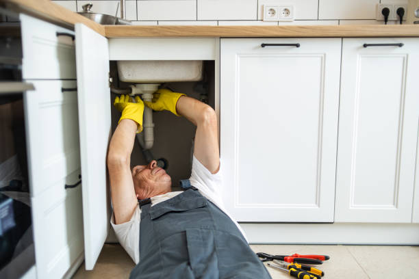 Best Clogged Drain Plumber  in Blue Springs, MO